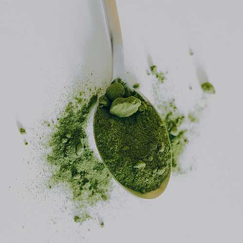 A silver spoon filled with a bright green powdered matcha.