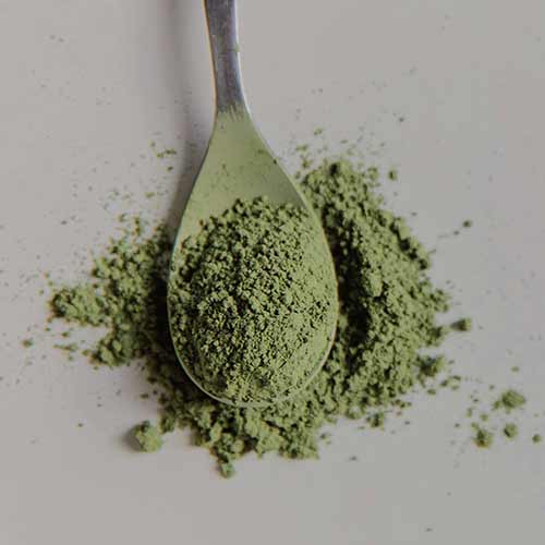 A silver spoon filled with green powdered matcha.
