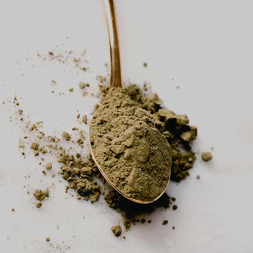 silver spoon with a brown powdered matcha called hojicha.