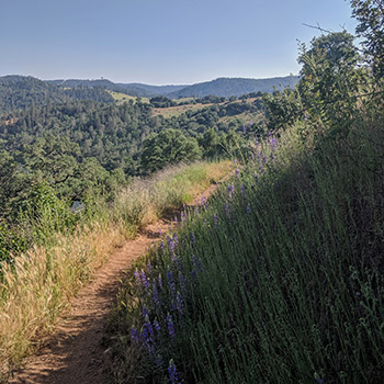 dirt trail in mountains