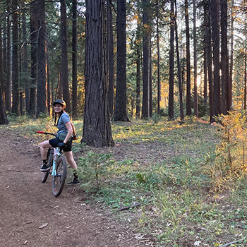 bike rider on wooded trail