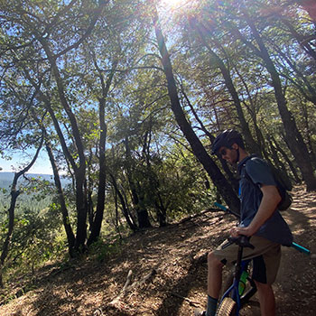 bike rider overlooking view from trail