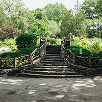 A stone staircase in Shakespeare Garden