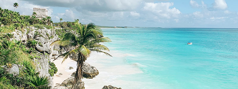 A view of a beach in Mexico that shows the ocean, sand, palm trees, a building, and a boat