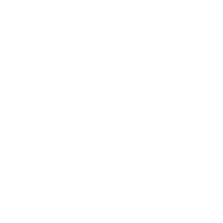 Catelyn Bu Portfolio logo.