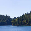Thumbnail of a photograph of water with pine trees and the sky above.