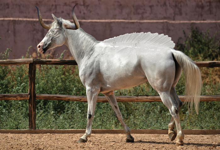 A combined animal with a white horse's body, a chameleon's spine, cow's horns, and a parrot's eyes. 