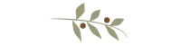 The olive branch logo