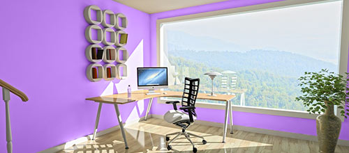 Bright purple open office space with large window