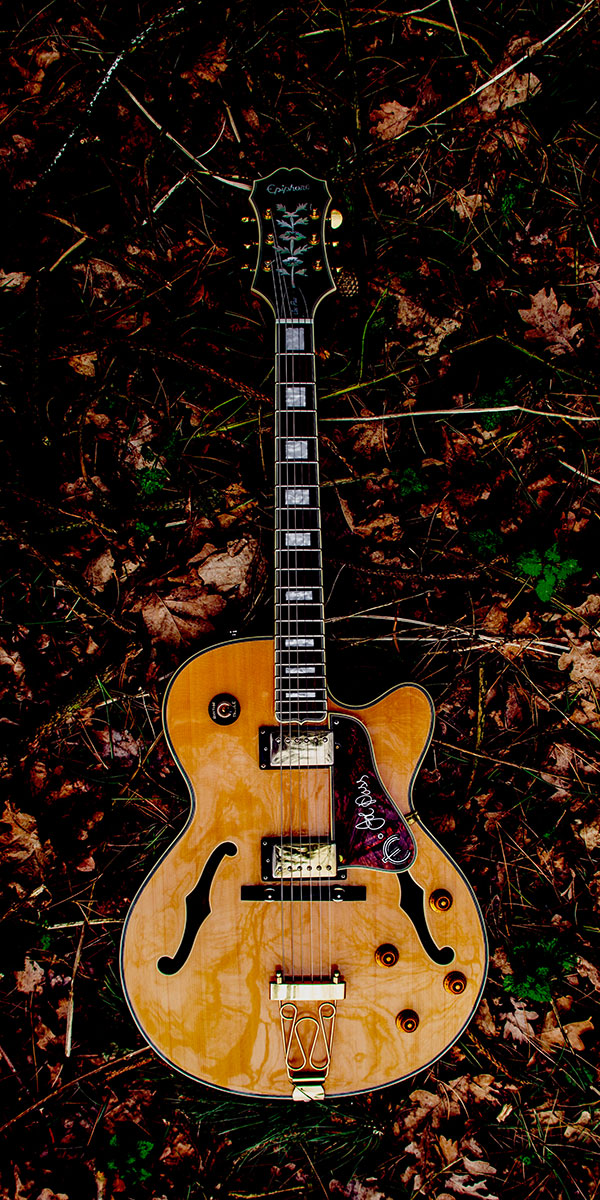 Guitar