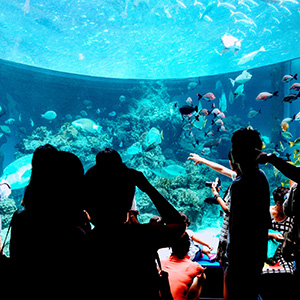 aquarium