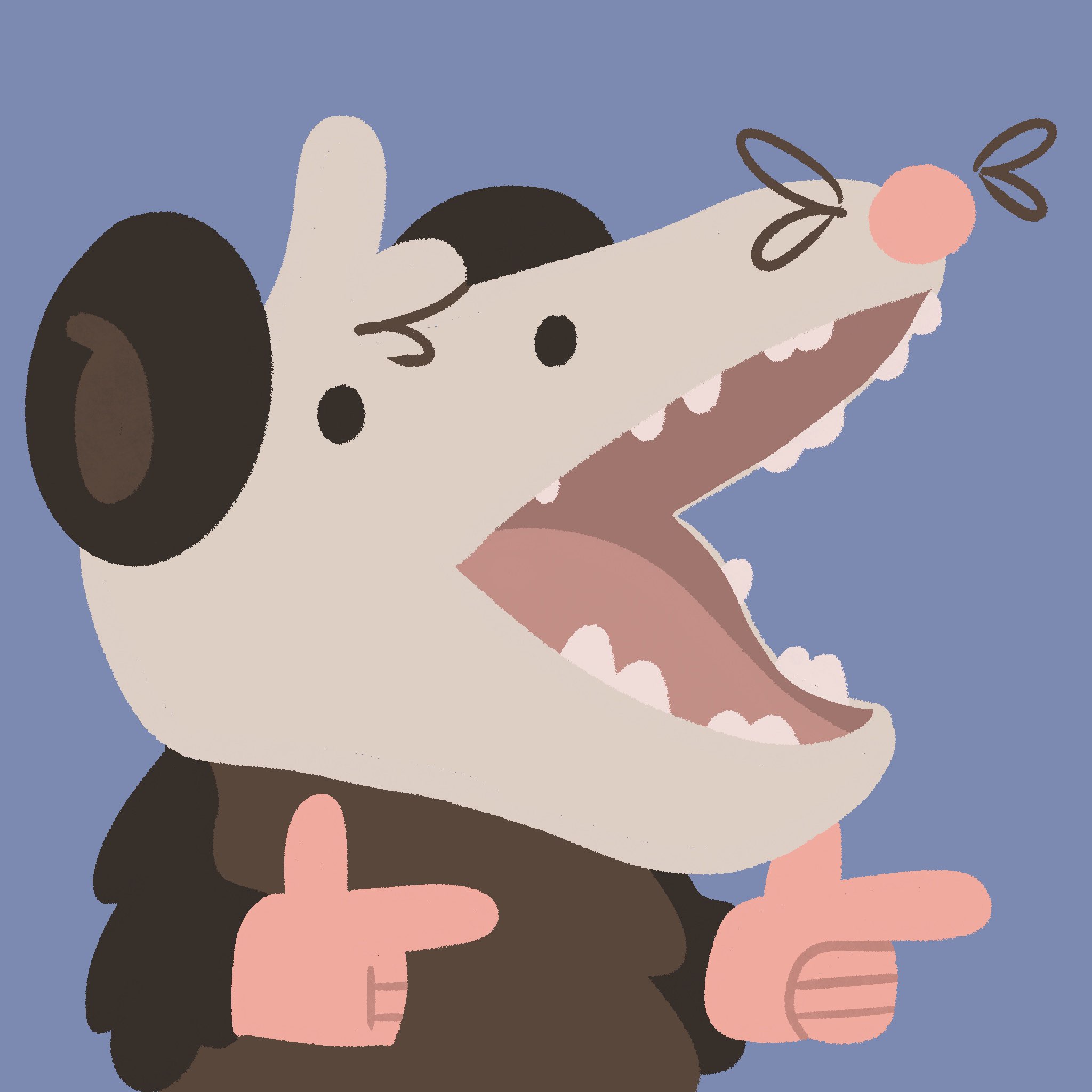 possum jim