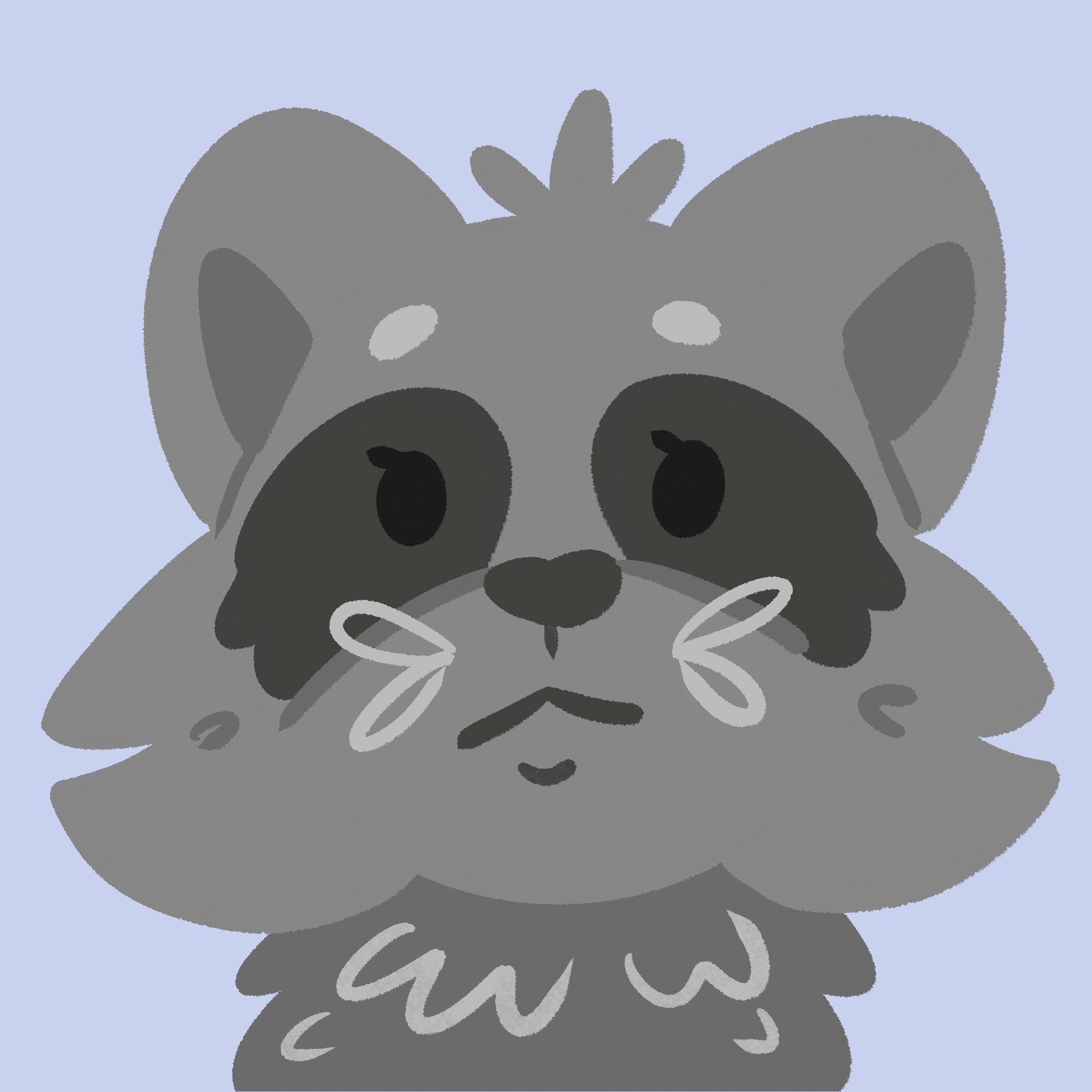 raccoon mike
