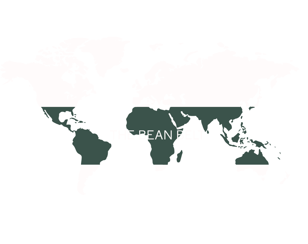 bean belt image