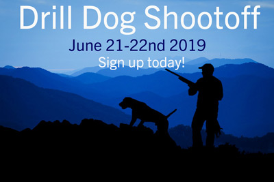 man on mountain with rifle and dog by his side