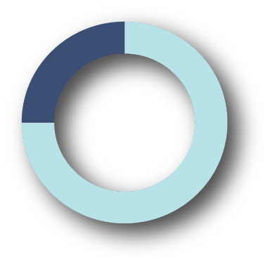Wordpress experience at 75