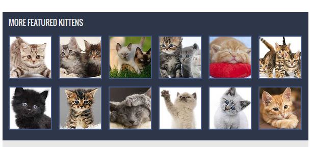 photo thumbnail gallery