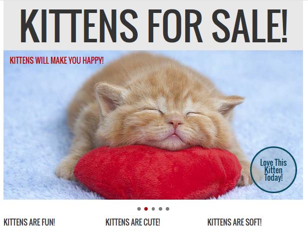 advanced photo slider with kittens