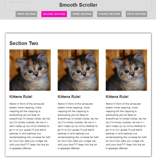 page scroll according to navigation