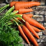 carrots
