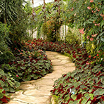 home garden