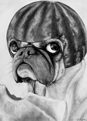 Charcoal drawing of a pug with a watermelon helmet