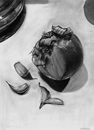 Charcoal drawing of an onion and garlic still life
