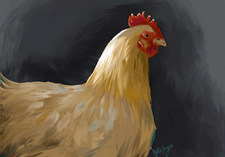 Digital painting of a chicken