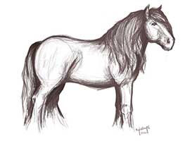 A digital drawing of a horse.