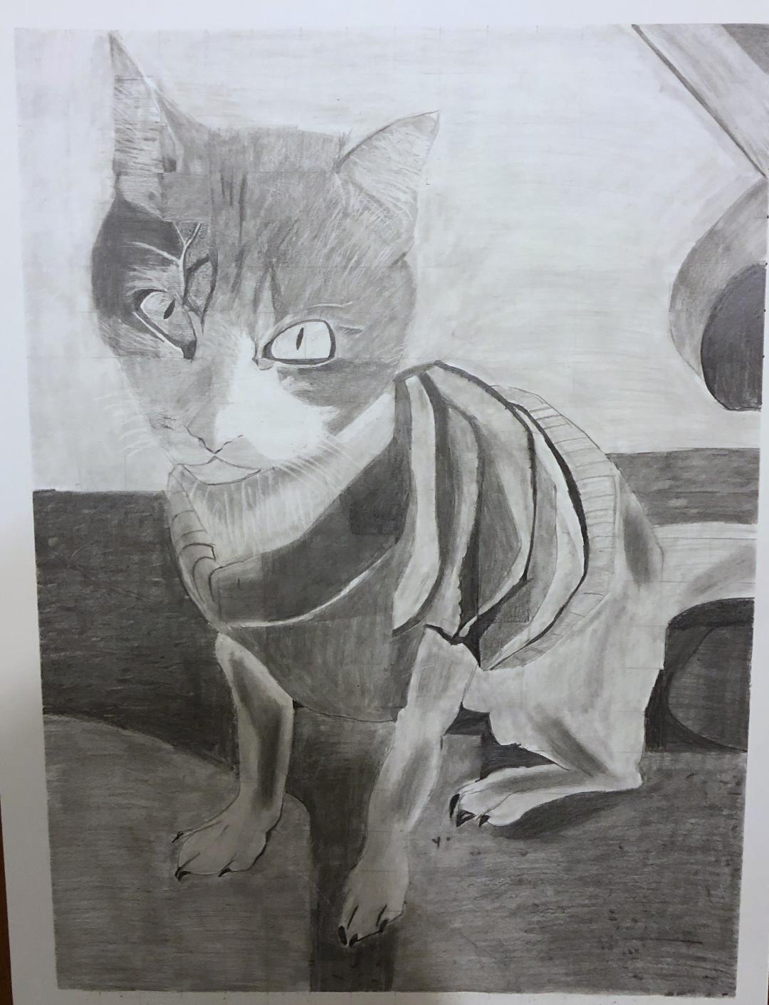 graphite drawing of a dog with a cat head
