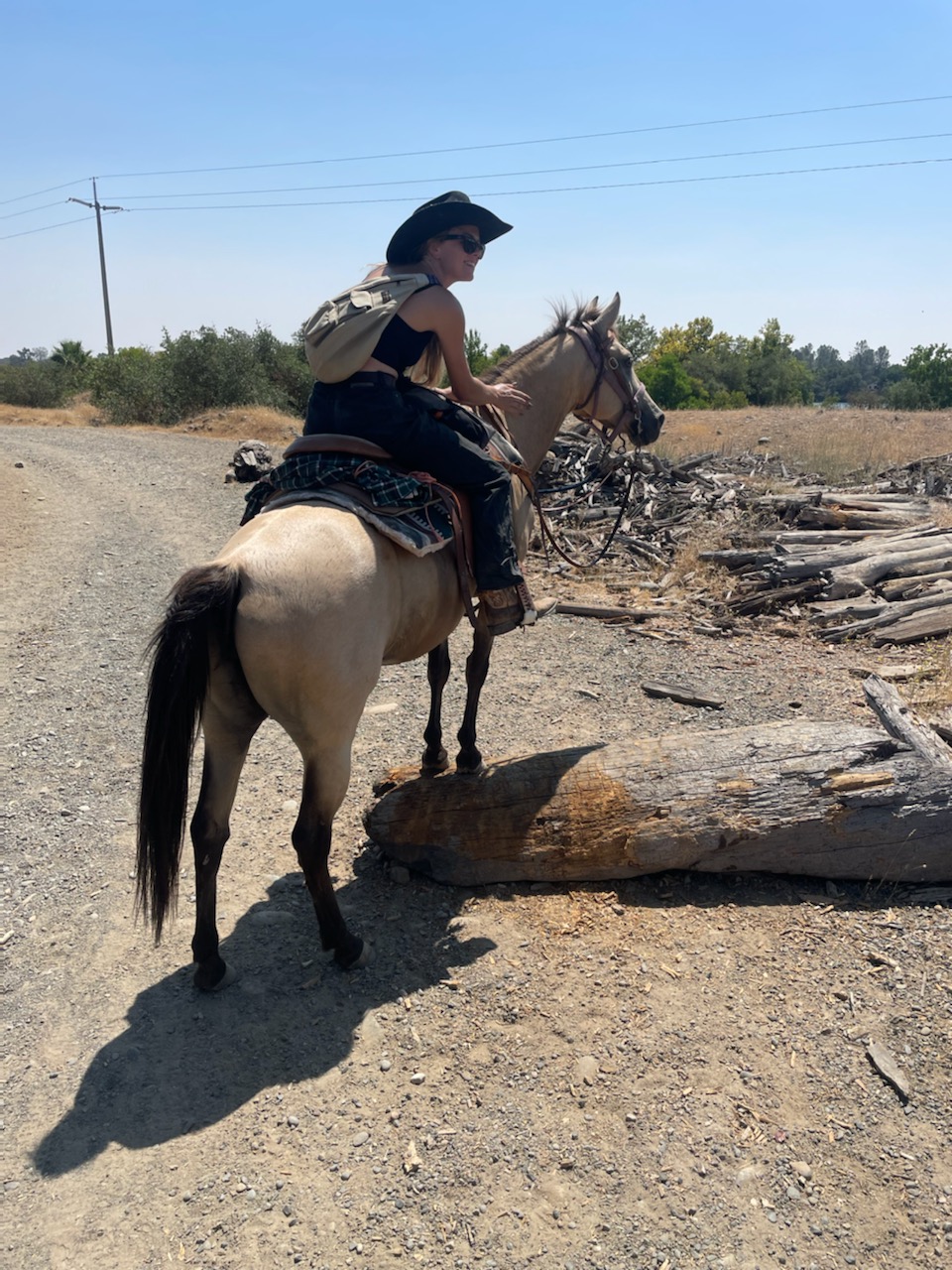 Image of Ashley Gillmore riding her horse, Sarabi, a dappled QH buckskin mare with black points, while Sarabi poses with her front feet up on a log.