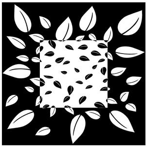 digital 7