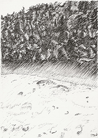 pen/pencil 3