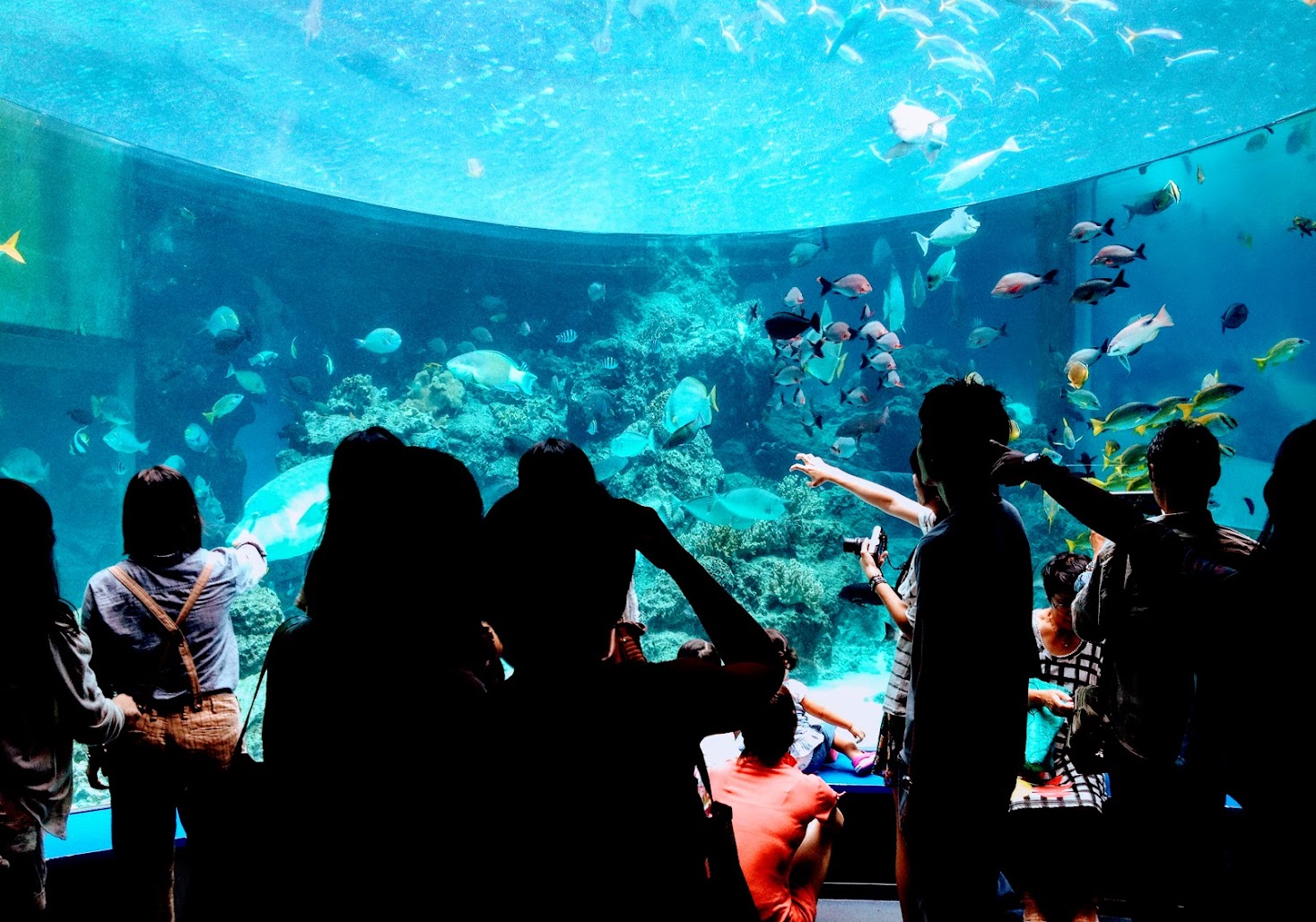 people pointing at fish tank