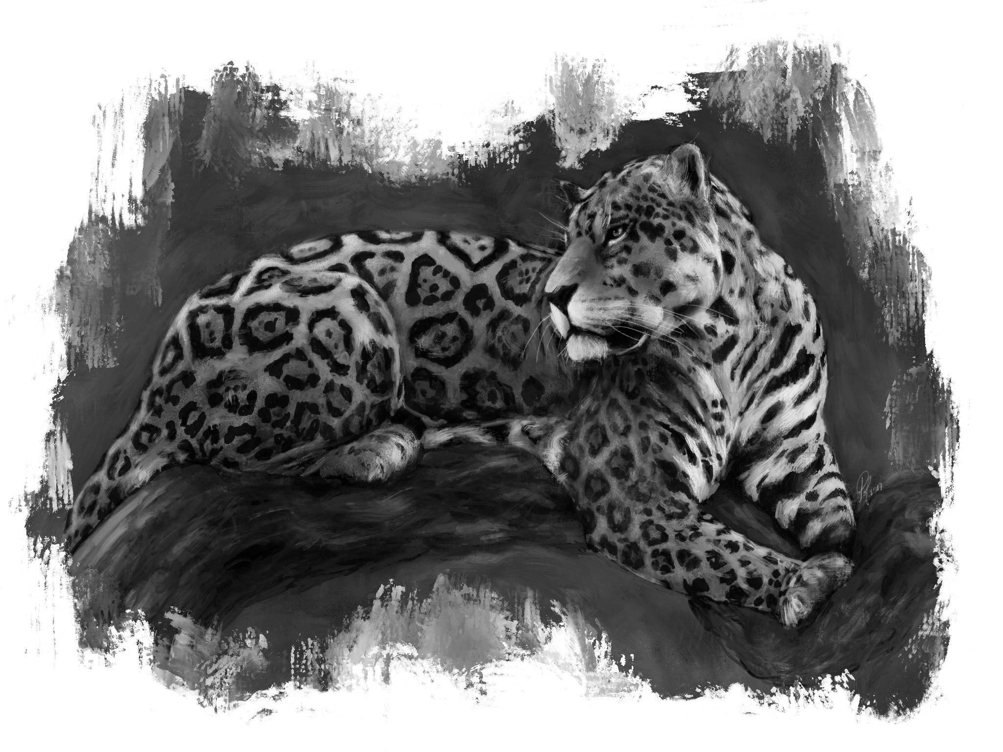 Jaguar