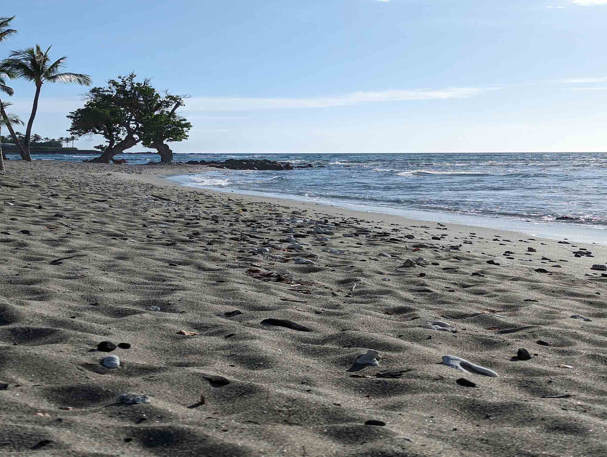 beach scene