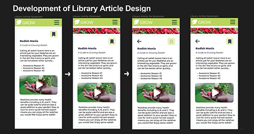 Development of Library Article Design