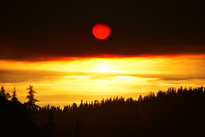 Blood Red Sun, shining through a layer of smoke just over the tree dense horizon.