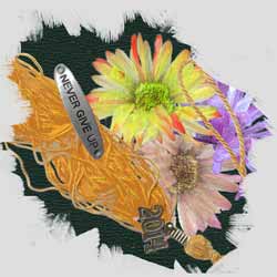 Collage of flowers, a graduation tassle, and ID tag saying Never Give Up with background texture of a green certificate book