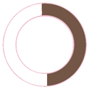 HTML and CSS experience at 50