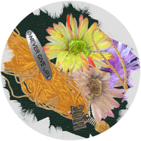 Click to go to portfolio with Photoshop projects
