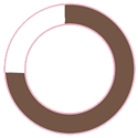 Wordpress experience at 75