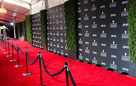 Empty red carpet set up