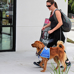 woman in workout attire walking with a service dog