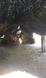 Inside a hallowed tree that is a pathway itself