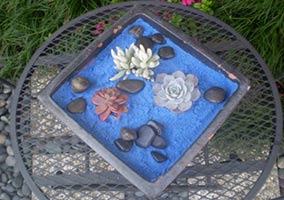 Succulent Art
