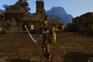 A Knight charging