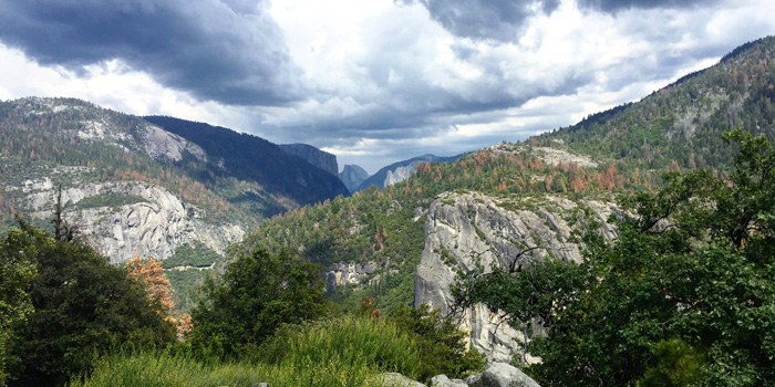 Reconnect with nature