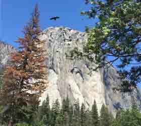 El Capitan