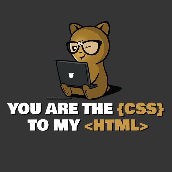 Learning More About HTML